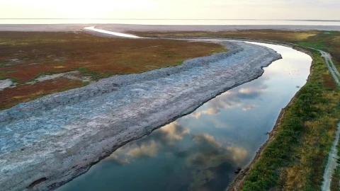 Free Stock Video River That Flows Into The Sea Live Wallpaper - Free Live Wallpaper