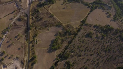 Free Stock Video Road Between The Fields In The Countryside Live Wallpaper - Free Live Wallpaper