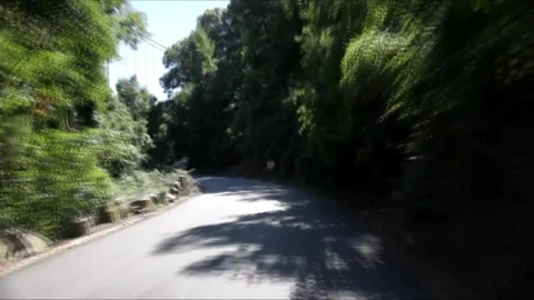Free Stock Video Road Cutting Through A Forest Live Wallpaper - Free Live Wallpaper