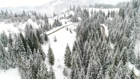 Free Stock Video Road In The Snow Covered Alps Live Wallpaper - Free Live Wallpaper