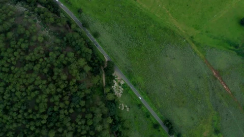 Free Stock Video Road Next To A Forest From The Heights Live Wallpaper - Free Live Wallpaper