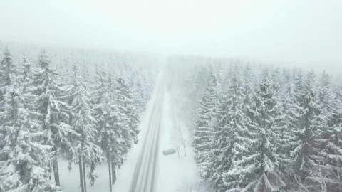 Free Stock Video Road Through A Foggy Winter Forest Live Wallpaper - Free Live Wallpaper