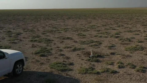 Free Stock Video Rocket Crash Site Live Wallpaper - Free Live Wallpaper