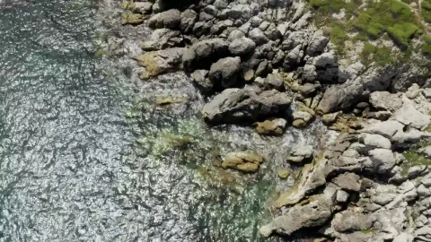 Free Stock Video Rocks Along The Shore Live Wallpaper - Free Live Wallpaper