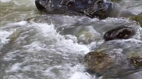 Free Stock Video Rocks In A Fast Running Stream Live Wallpaper - Free Live Wallpaper