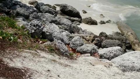 Free Stock Video Rocky Beach With Waves Reaching The Shore Live Wallpaper - Free Live Wallpaper