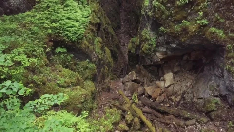 Free Stock Video Rocky Cliffs In The Middle Of A Forest Live Wallpaper - Free Live Wallpaper
