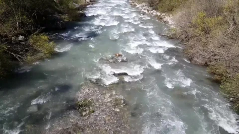 Free Stock Video Rocky River In The Mountains Live Wallpaper - Free Live Wallpaper