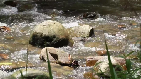 Free Stock Video Rocky Stream In The Hills Live Wallpaper - Free Live Wallpaper