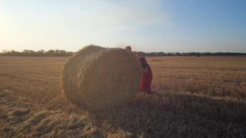 Free Stock Video Rolling A Huge Bale Of Hay Live Wallpaper - Free Live Wallpaper