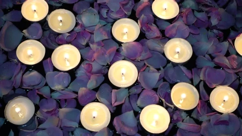 Free Stock Video Romance Details Candles Floating Among Roses Live Wallpaper - Free Live Wallpaper