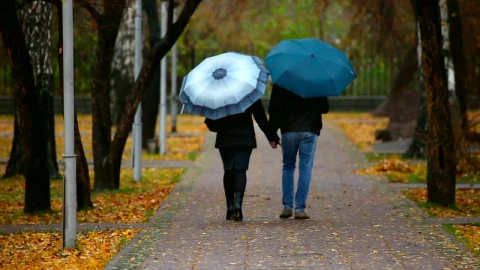 Free Stock Video Romantic Walk In The Park Live Wallpaper - Free Live Wallpaper
