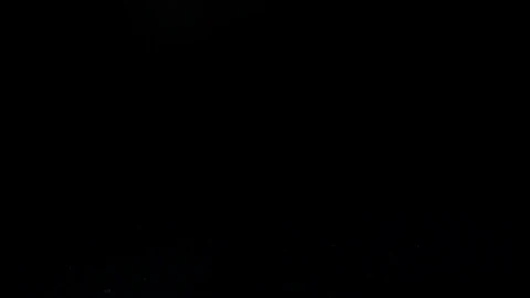 Free Stock Video Rose Falling Against A Black Screen Live Wallpaper - Free Live Wallpaper