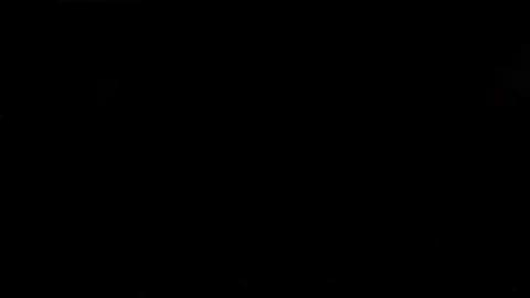 Free Stock Video Rose Landing On A Table And Splashing Live Wallpaper - Free Live Wallpaper