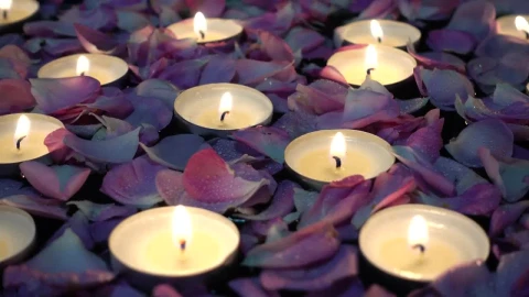 Free Stock Video Roses And Candles Floating In A Wedding Decoration Live Wallpaper - Free Live Wallpaper