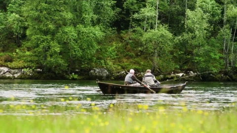 Free Stock Video Rowing A Boat Up Stream Live Wallpaper - Free Live Wallpaper