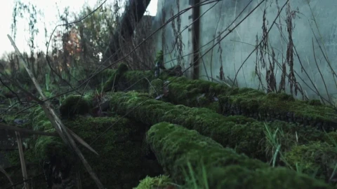 Free Stock Video Ruined House With Destroyed Walls Live Wallpaper - Free Live Wallpaper
