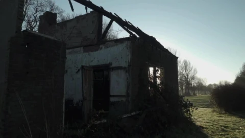 Free Stock Video Ruined House Without Roof In A Forest Live Wallpaper - Free Live Wallpaper