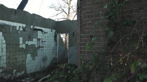 Free Stock Video Ruined Roofless House Live Wallpaper - Free Live Wallpaper