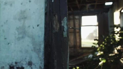 Free Stock Video Ruined Site Near A Path In A Forest Live Wallpaper - Free Live Wallpaper