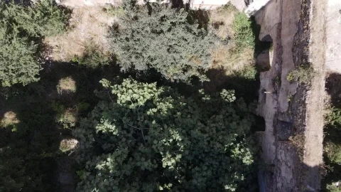 Free Stock Video Ruins Of A Building Covered With Vegetation Live Wallpaper - Free Live Wallpaper