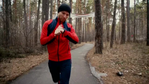 Free Stock Video Runner In Forest Checks Heart Rate On Smartwatch Live Wallpaper - Free Live Wallpaper
