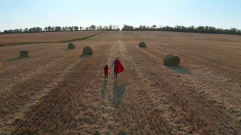 Free Stock Video Running Through A Harvested Field Live Wallpaper - Free Live Wallpaper