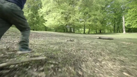 Free Stock Video Running Towards The Shade Live Wallpaper - Free Live Wallpaper