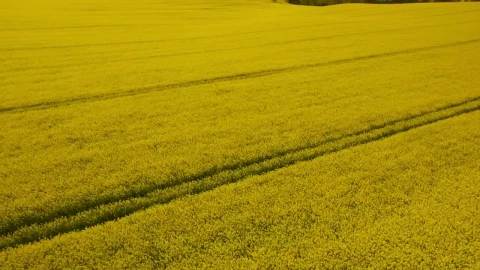 Free Stock Video Rural Fields In The Countryside Live Wallpaper - Free Live Wallpaper