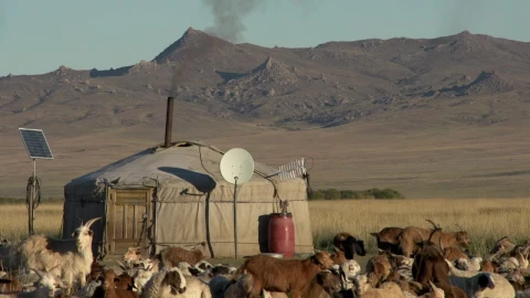 Free Stock Video Rural Home With Goat Cattle In The Mountains Live Wallpaper - Free Live Wallpaper