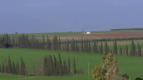 Free Stock Video Rural Landscape And Agricultural Fields Live Wallpaper - Free Live Wallpaper