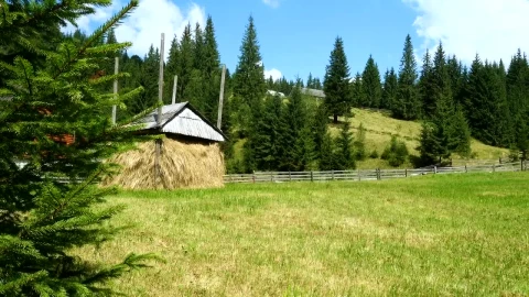 Free Stock Video Rustic Houses In A Mountain Surrounded By Forest Live Wallpaper - Free Live Wallpaper