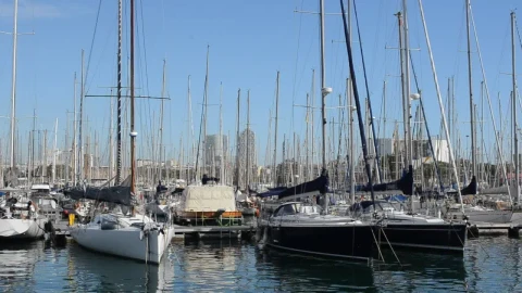 Free Stock Video Sailboats In A Harbor Live Wallpaper - Free Live Wallpaper