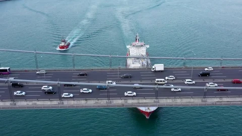 Free Stock Video Sailing Below A Busy Bridge Live Wallpaper - Free Live Wallpaper