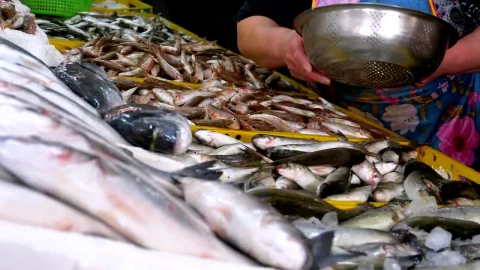 Free Stock Video Saleswoman Offering Fresh Fish Live Wallpaper - Free Live Wallpaper