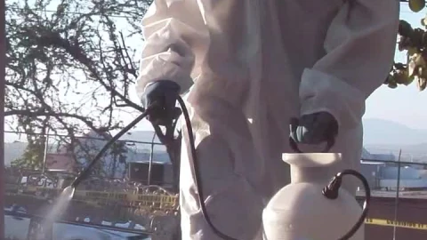 Free Stock Video Sanitizing The Garden Of An Outdoor Park Live Wallpaper - Free Live Wallpaper