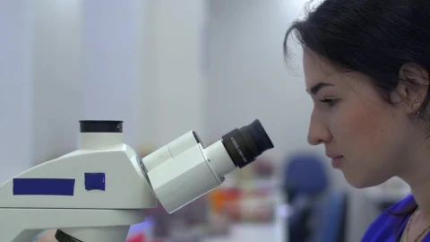 Free Stock Video Scientist Looking Through A Microscope Live Wallpaper - Free Live Wallpaper
