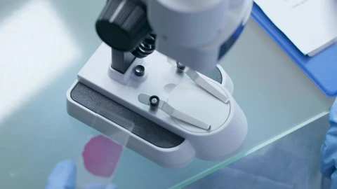 Free Stock Video Scientist Preparing A Sample Live Wallpaper - Free Live Wallpaper