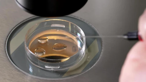 Free Stock Video Scientist Working With A Pipette Live Wallpaper - Free Live Wallpaper