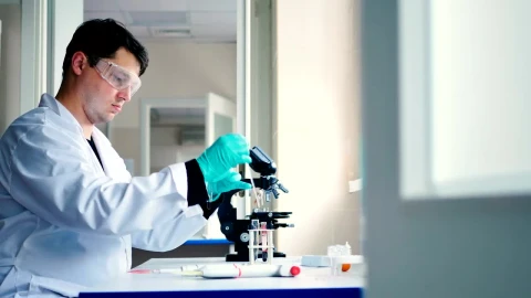 Free Stock Video Scientist Working With Blood In A Laboratory Live Wallpaper - Free Live Wallpaper