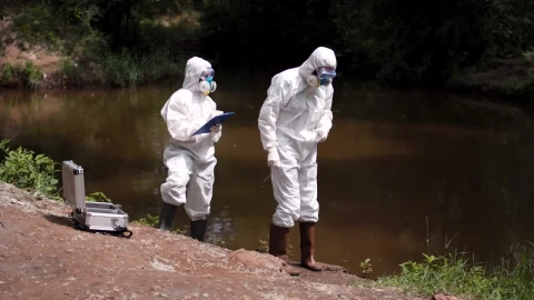Free Stock Video Scientists Collecting Samples From The Lake Live Wallpaper - Free Live Wallpaper