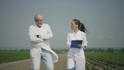 Free Stock Video Scientists Taking Notes On An Agricultural Field Live Wallpaper - Free Live Wallpaper