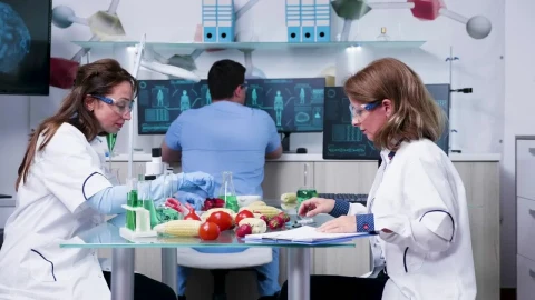 Free Stock Video Scientists Testing Vegetable Samples Live Wallpaper - Free Live Wallpaper