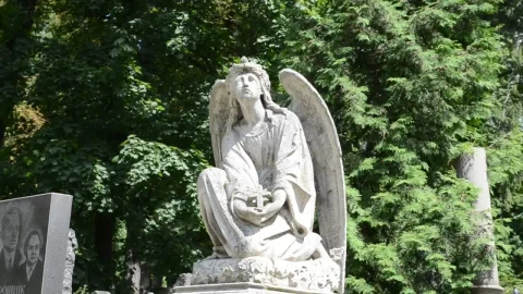 Free Stock Video Sculpture Of An Angel In A Cemetery Live Wallpaper - Free Live Wallpaper