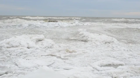 Free Stock Video Sea Foam Against The Shore Live Wallpaper - Free Live Wallpaper