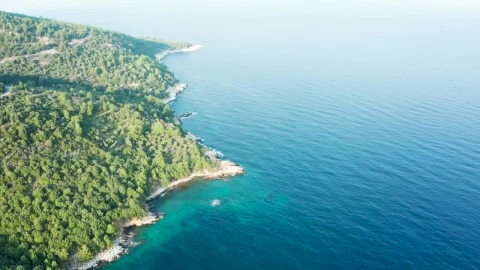 Free Stock Video Sea Mist Blocking The Horizon Live Wallpaper - Free Live Wallpaper