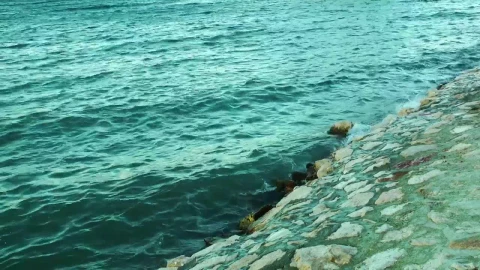Free Stock Video Sea Waves Coming Ashore In A Tourist Port Live Wallpaper - Free Live Wallpaper