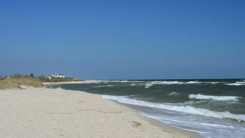 Free Stock Video Sea Waves Coming To The Beach Live Wallpaper - Free Live Wallpaper