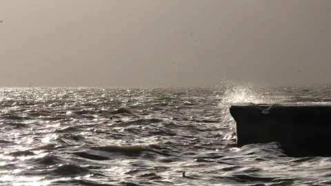 Free Stock Video Sea Waves Hitting A Dock Live Wallpaper - Free Live Wallpaper