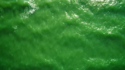 Free Stock Video Sea Waves In Green Tones Reaching The Beach Live Wallpaper - Free Live Wallpaper